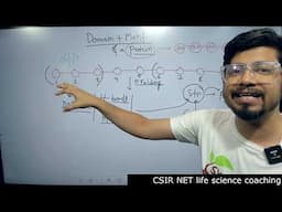 Protein motifs and domain | protein secondary structure