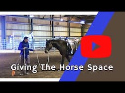 Importance Of Giving the Horse Space