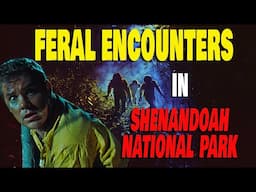 FERAL HUMANS IN SHENANDOAH NATIONAL PARK -  #Ferals #shenandoahnationalpark #feralpeople