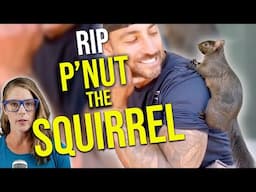 New York seizes, kills P'nut the Squirrel