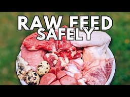 How To Raw Feed Your Pets Safely