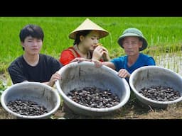 Dianxi Xiaoge i'm sorry - Process harvesting mussels - Peaceful life in the countryside