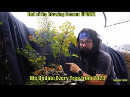 2023 in Review - Every Tree UPDATE! - Bonsai-YEAH!