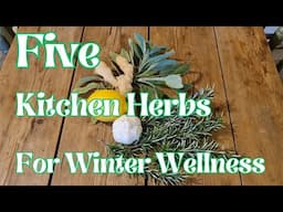 FIVE Kitchen Herbs for Winter Wellness