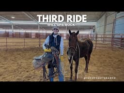 Audrey getting her third ride on her two year old #horse #ranch #cowgirl