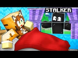 I have a STALKER in minecraft - (Minecraft Movie)