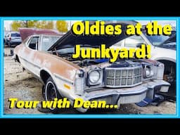 Oldies at the Local Junkyard... Check 'em out with Dean!