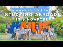 STUDY ABROAD IN SINGAPORE (NUS EXCHANGE) a week in my life