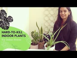 5 hard to kill indoor plants for Indian homes