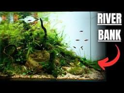 I MADE A RIVERBANK FOR TINY RASBORAS AND LOACHES! Aquascape Tutorial