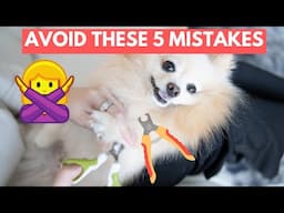 5 Common Nail Clipping Mistakes | How to Safely Trim Your Dog's Nails at Home