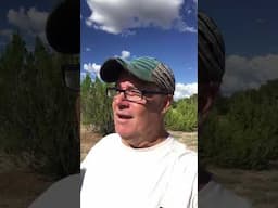 WE BOUGHT 40 ACRES OF LAND IN NORTHERN ARIZONA #shorts #offgridliving #arizona