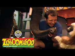 Zoboomafoo with the Kratt Brothers! THE NOSE KNOWS | Full Episodes Compilation