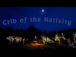 CRIB OF THE NATIVITY - Krohn Conservatory LIVE Manger 2023