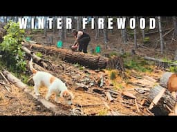 Preparing for winter and building a woodshed