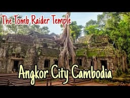 Ta Prohm Temple Tomb Raider, East Mebon Temple and Ta Som Temple | Exploring Cambodia Angkor City !