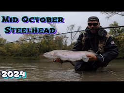 Float Fishing Mid October Steelhead 2024