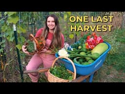 Peppers, Flowers, Herbs, & Gourds | Last Harvest of the Year - Calico Cow Acres Homestead