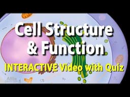 NEW: INTERACTIVE Animation with Quiz: Cell Structure and Functions