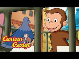 George's New Pigeon Friend  🐵 Full Episodes | Curious George