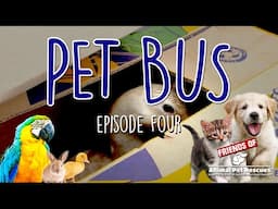 PET BUS - Episode 4 (Friends of Animal Rescues)