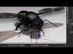 Bumble Bee Rigging in C4D R25 and onward.  Part 7