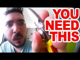 Crazy everyday carry scissors ✂️ Better than a knife?