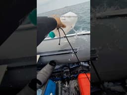 Our boat almost sunk on this recent dive trip