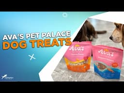 Review: Ava's Pet Palace Dog Treats