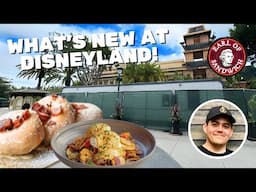 What's New & What's Happening at Disneyland - Trying Great Maple & Downtown Disney Construction