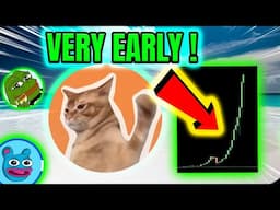 THIS NEW MEME COIN JUST LAUNCHED 🚀 MEGA POTENTIAL ?! 🔥 CATSLAP! 🔥 THIS COULD BE BIG!