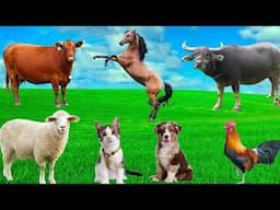 Animal Paradise - Learn the names of domestic animals: duck, cow, chicken, cat, dog, pig, goose