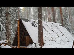 A SNOW STORM CAUGHT ME IN A COZY LOG CABIN. WINTER IS COMING!