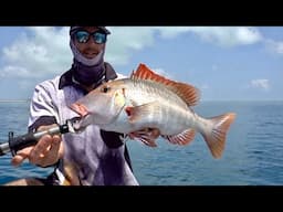 Perfect Day, FISHING Australias Great Barrier Reef!