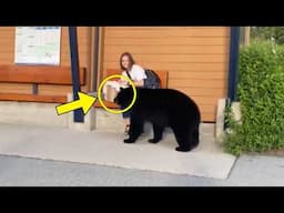 Bear Approaches Woman At Bus Stop, When She Realizes Why, She Decides To Follow It