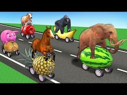 Wild Animals On Fruits Car Race For Kids - Learn Animals Names & Sounds On Wooden Train Toys