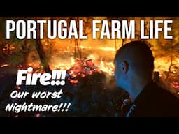 Surviving Portugal’s Wildfires | Life on a Farm in Portugal