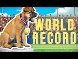 7wo Puppy Shatters World Record