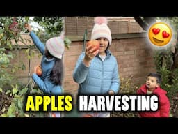 Harvesting Day in our Kitchen Garden in UK | Indian Family in UK 🇬🇧