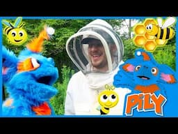 How Do Bees Make Honey? | Pily Learns about Bees at Taras Kul Farm | Educational Video for Kids