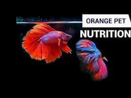 TETRABITS | TETRAMIN | ORANGE PET NUTRITION | AQUAGIC | AQUARIUM EXHIBITION | AQUAGIC EXHIBITION