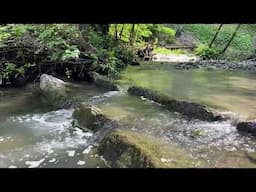 Relaxation Practice: River Imagery - 12 min