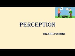 Perception - Organisational behaviour,