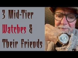 3 Mid-Tier Watches & Their Friends #VP 281