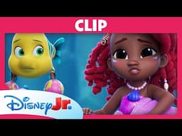 🪕 Vertretungslehrer! | Disney Junior Arielle