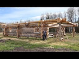 The Final Logs on the Walls - Building My Log Home Pt. 17