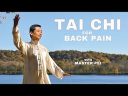 Tai Chi Secrets for Back Pain Revealed  | Beginner Routine