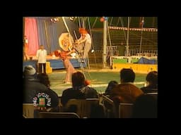 Nota Pase lo que pase - El Circo (1998)