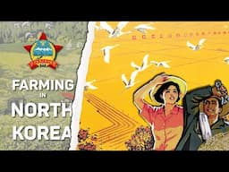 DPRK Agriculture EXPLAINED | Farming in North Korea