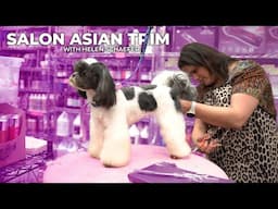 Salon Asian Fusion Trim - Helen Schaefer